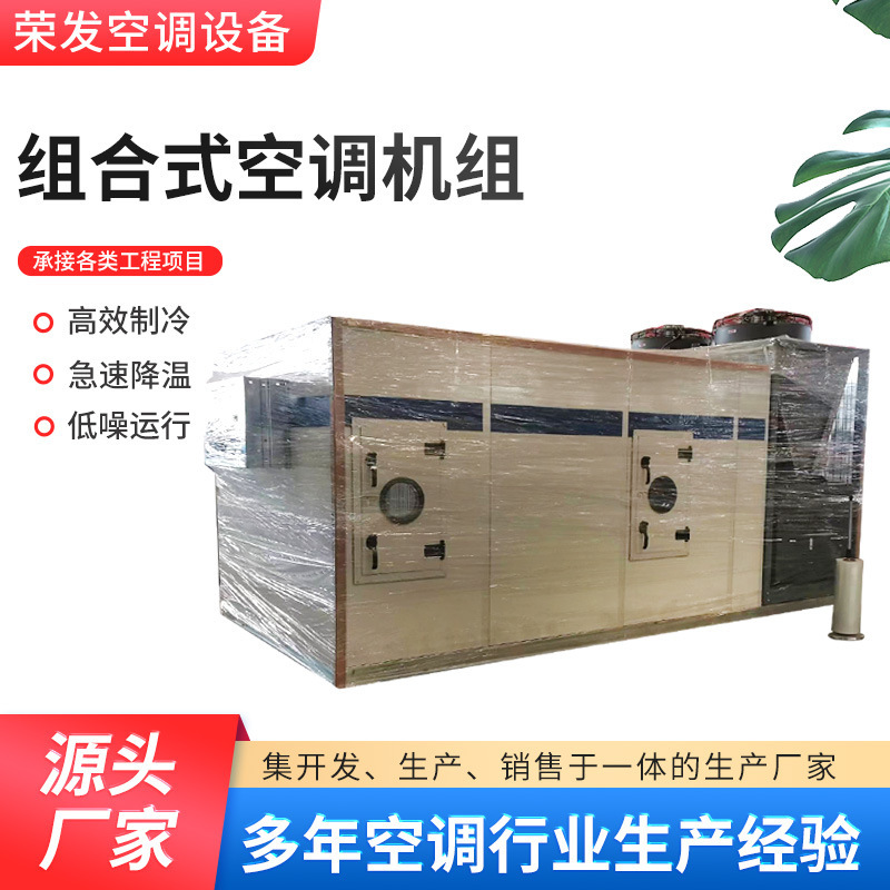 Workshop Refrigeration Combined Unit Constant Temperature and Humidity Cabinet Air Treatment Unit Workshop Clean Direct Leavening Unit