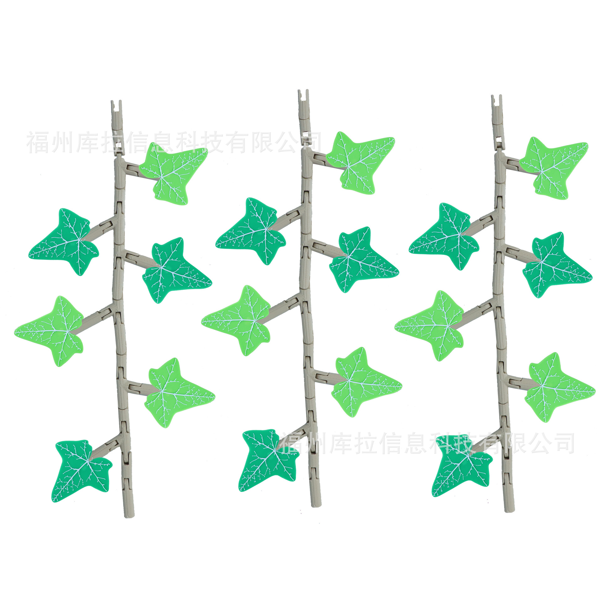 3개(덩굴 1개 20cm, 잎 6개, 3세트)