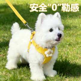 背心式狗狗牵引绳遛狗胸背中小型犬背带拴狗绳幼犬柯基宠物狗链子