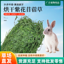 2025烘干紫花苜蓿草 兔子龙猫荷兰猪宠物粮食 紫花苜蓿牧草1kg箱