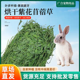 2026烘干紫花苜蓿草 兔子龙猫荷兰猪宠物粮食 紫花苜蓿牧草1kg箱