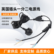 ����BS1363�J�CӢ�����^һ�ֶ��Դ�����^303�_�P��