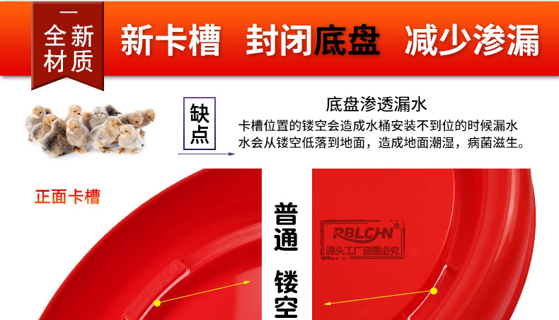 鸽子自动饮水器