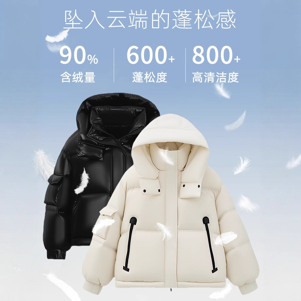 2025 invierno nuevo estilo chaqueta de plumón con capucha cuello alto traje de pan chaqueta de plumón de pato blanco corto nuevo estilo de moda image 3