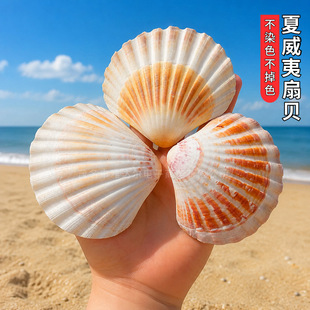 ��������ؐ��Ȼ����ؐ�����ǘ˱�����DIY�~���쾰�bӼҔ[��