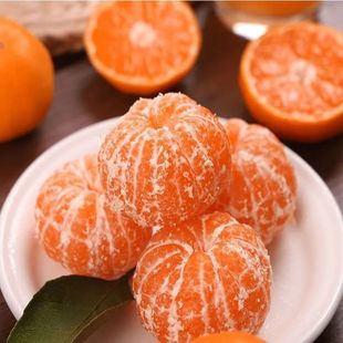Оранжевая оптом осознает пикап специальных ранних апельсинов с медовыми апельсинами, без семян без семян, большого количества физического завода сообщества