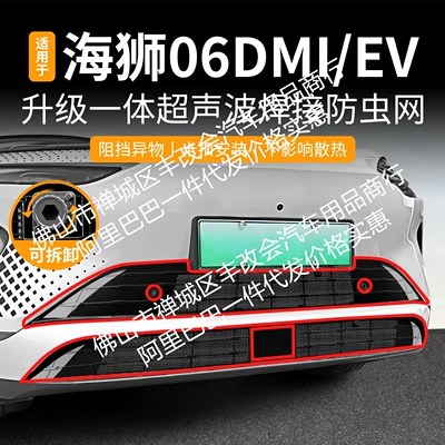 Suitable for Byd Hiace 06Ev/Dmi Integrated Welding Car Insect-Proof Net Front Grille Special Accessories