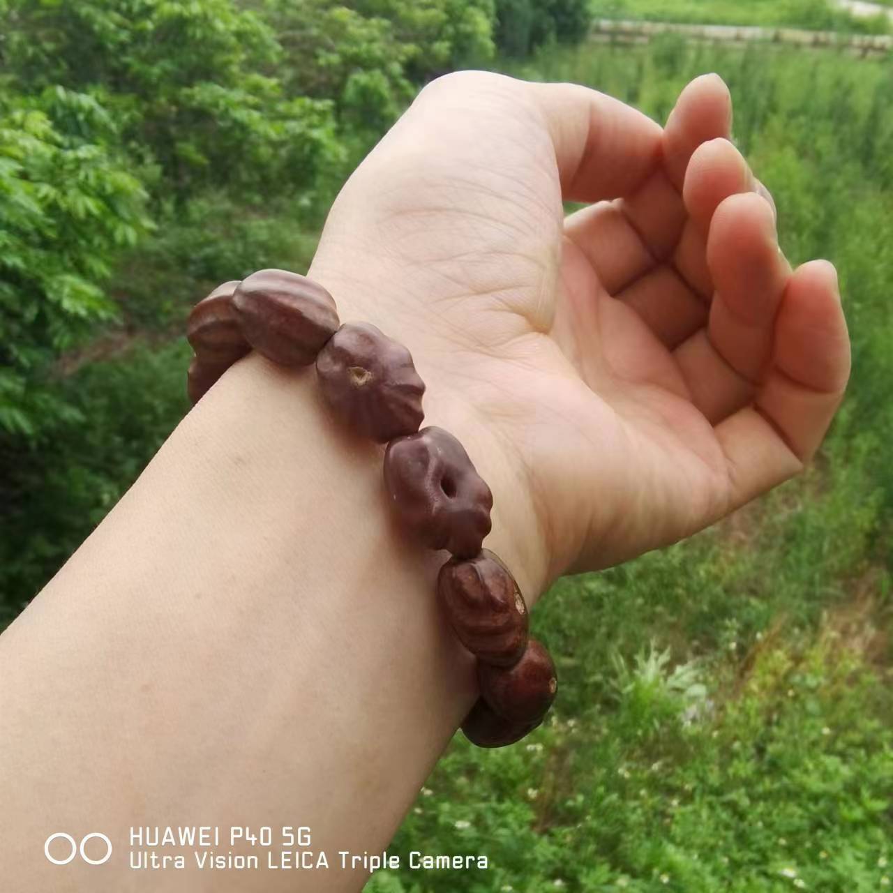 6ec0238caa0a1bce8e25a3e2ecc107