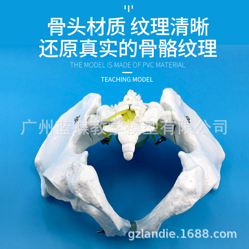 ��Ȼ�����Թ����������׵��ģ�� ���� ��׵β׵ģ�� ��׵ģ��