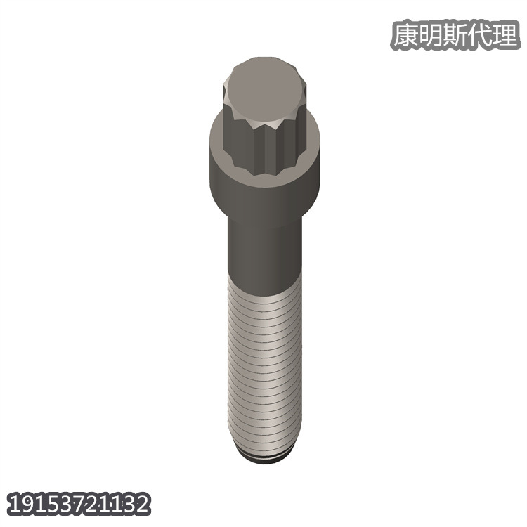 23发动机零件十二角头螺钉4006238