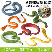 �羳����ģ�ͷ��挍���J֪�����߾Gɭ�����R�߹ĸ������β�����