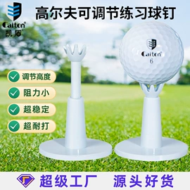 高尔夫配件;高尔夫球;高尔夫球钉