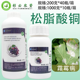 �������� 20%��֬���~����������˪ù����������֬���~�rș