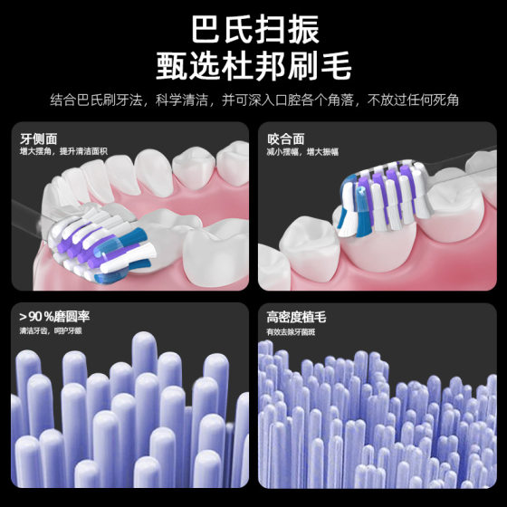 Wholesale S1 Sweep Vibration Electric Toothbrush Portable Home Gift suit Charging Waterproof Soft Hair Electric Toothbrush