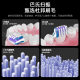 Wholesale S1 Sweep Vibration Electric Toothbrush Portable Home Gift suit Charging Waterproof Soft Hair Electric Toothbrush