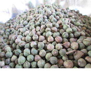 ����~�Θ�N��С�~�Θ�A�X�u�͘䱧�����ܼt�Θ�N�ӈ@�־G��