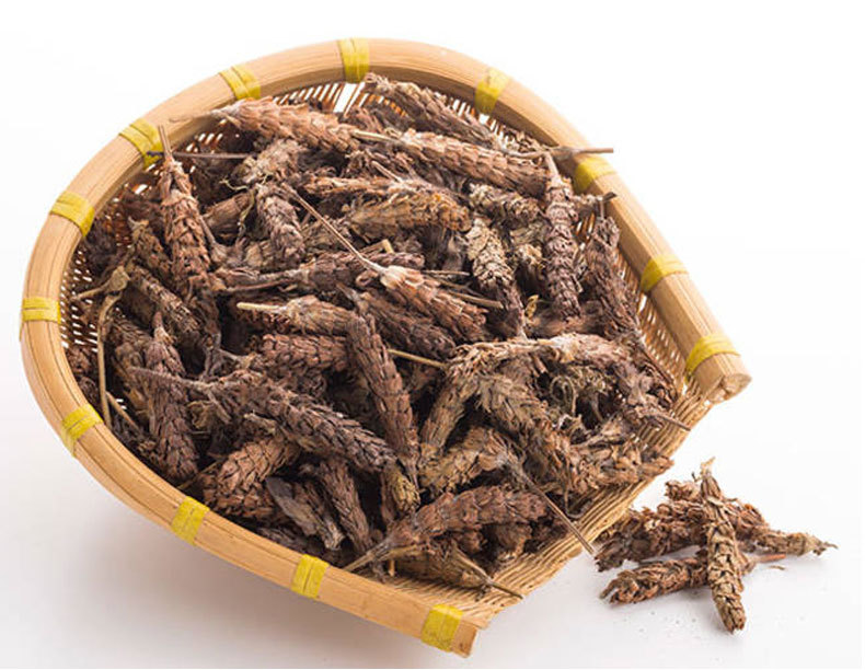 Xia Ku Cao Prunella Spike 500g Dried Selfheal Fruit Spikes for Herbal Tea and Decoction in use