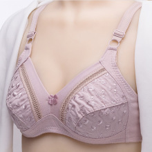 ������������С�ֱ�͸�������޲�������a����Ů�o�Ȧ�������l