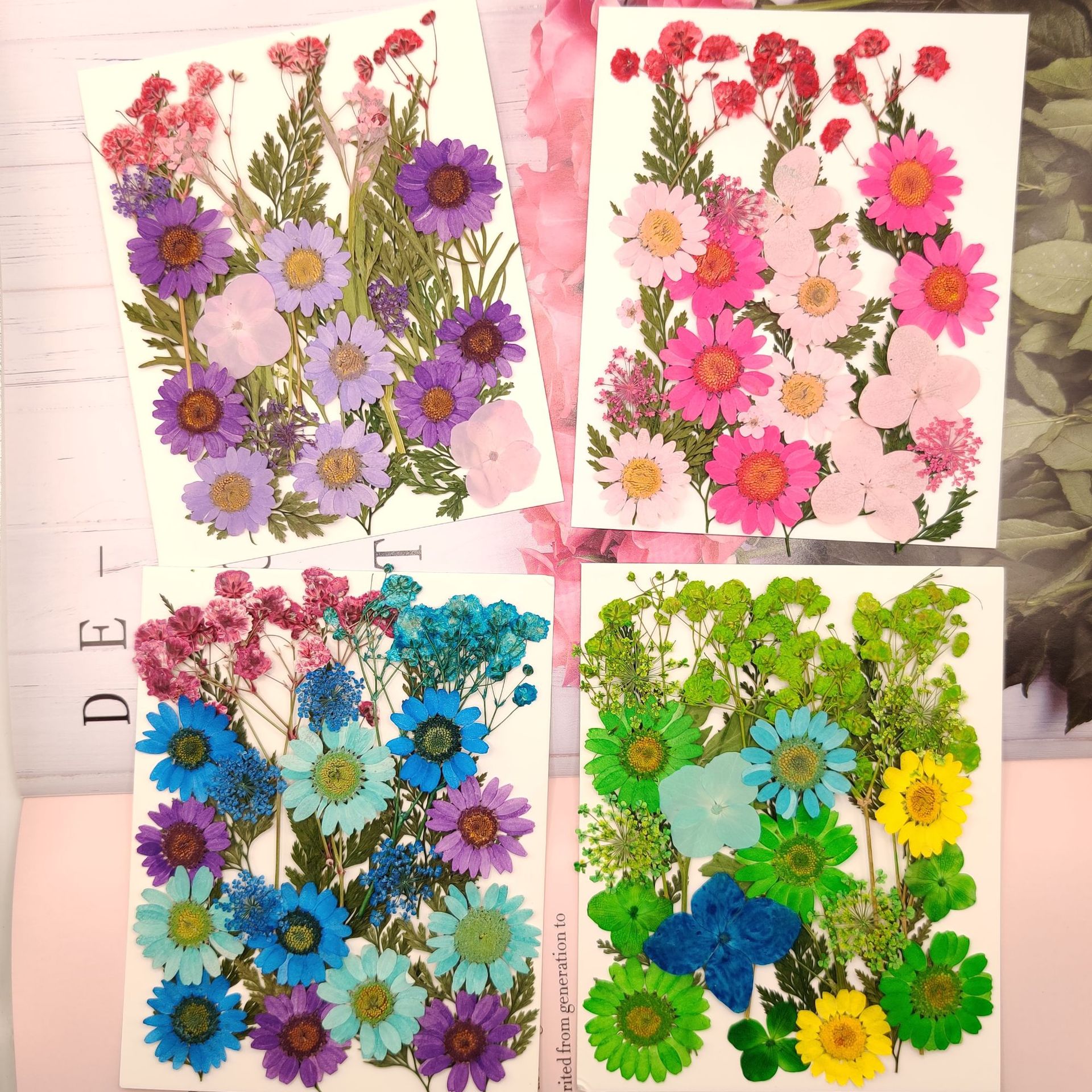 微信图片_20230720102717