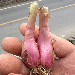 �Nֲ�����Ĵ�С���[�t�[�^��ѿ���Ի��[�S�[�ļ��[��ե�[�͸��[�^