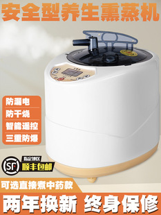 Sauna Steam Generator 4 Liter Fumigation Machine Sweat Machine Household Fumigation Instrument Machine Room Fumigation Pot Bath Box Fumigator