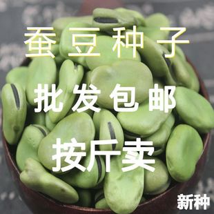 �Q���N�Ӱ����N�۴������������Q���N���ͺ��m�����_�h��