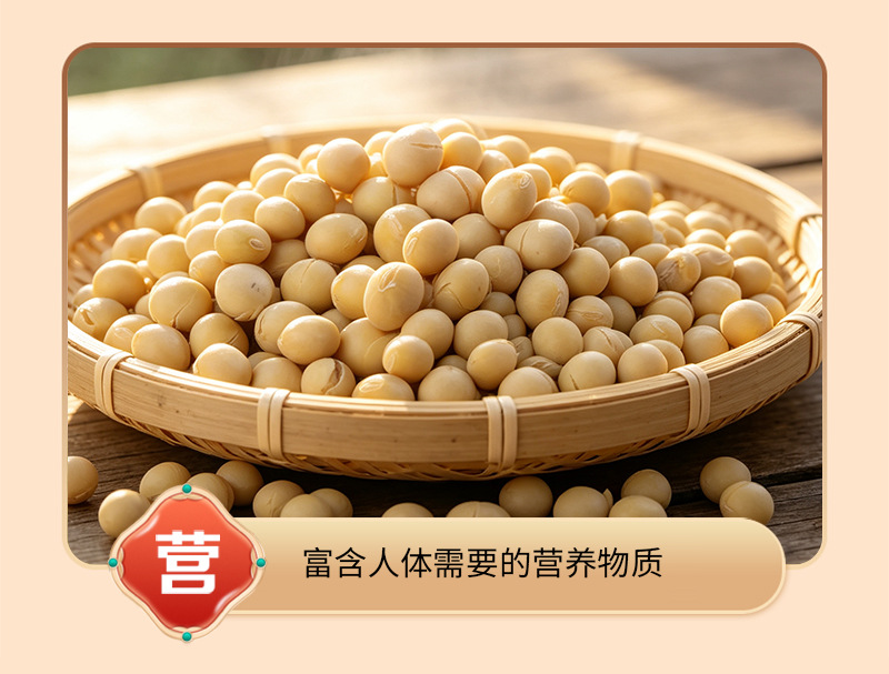 Roasted Soybeans Huang Dou 大豆 Low Temperature Baked Whole Beans for Soymilk and Grinding Bulk 25kg Bag in use