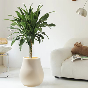 Source Manufacturer Plastic Vase Imitation Ceramic Flower Pot Floor-Standing Large Pot Living Room Artificial Tree Decorative Ornaments Can Store Water