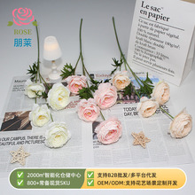 4�^ǧ����ĵ�����滨�廨�zӰ���չ�ˇƷ�[���ٻ���c�ҾӔ[��