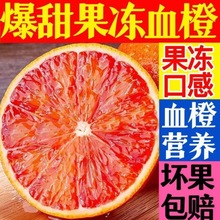 四川塔罗科血橙甜薄皮橙子当季新鲜孕厂家批发跨境混批