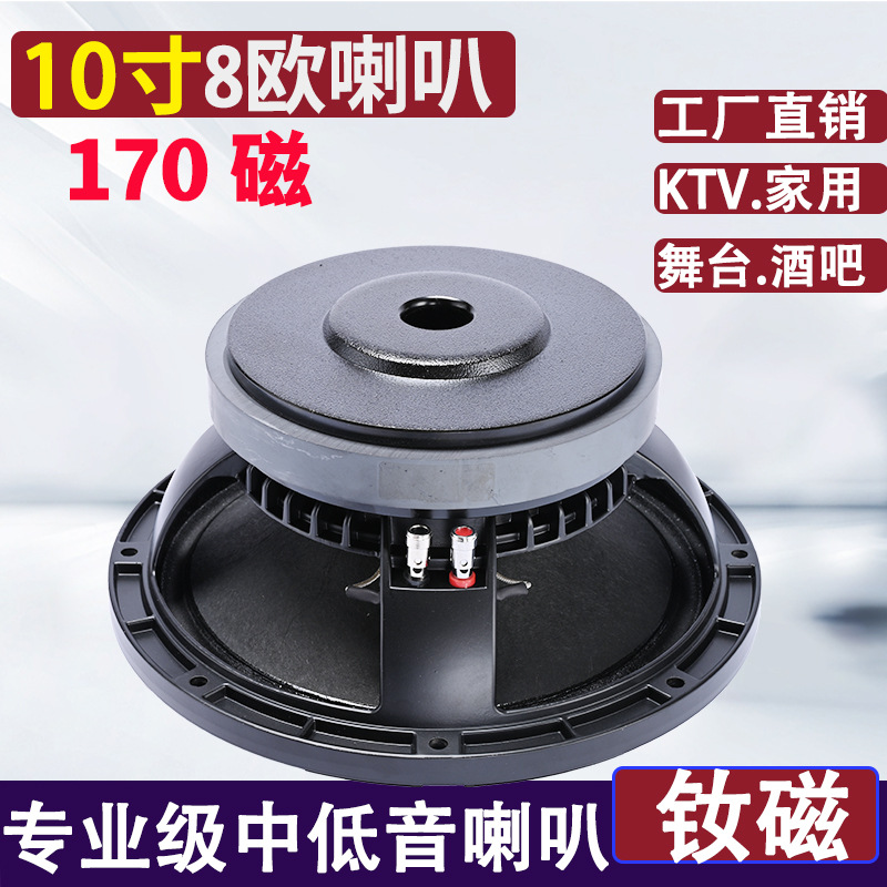 Altavoz profesional de BC-10 pulgadas (170 magnéticos 65 núcleos)