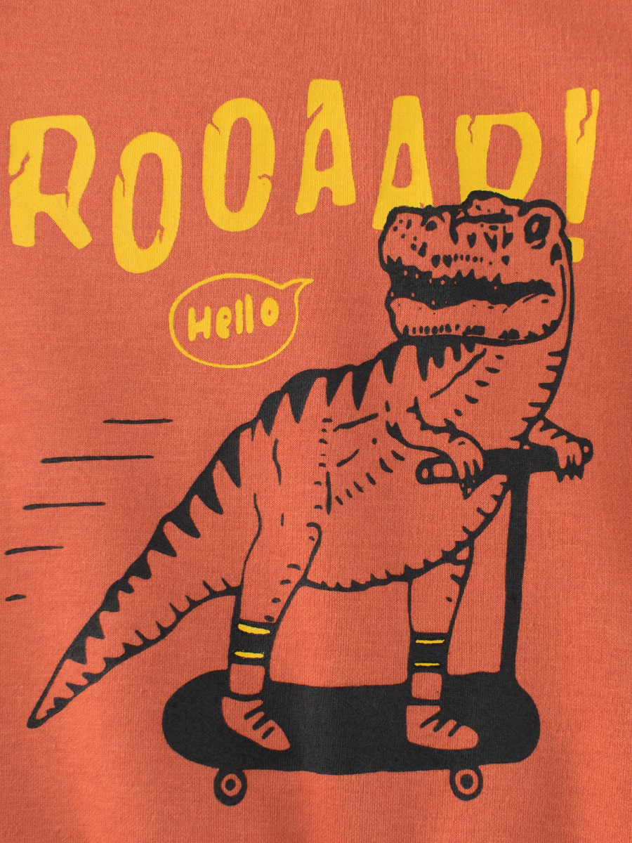 27kids Ropa infantil estilo coreano otoño e invierno nueva colección 2024 sudaderas infantiles ropa para niños dinosaurio tendencia mayorista transfronteriza image 5