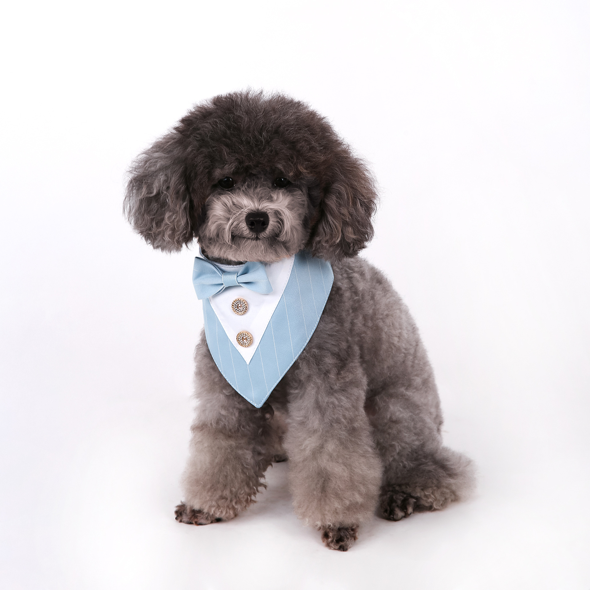 Navidad Año Nuevo Spot transfronterizo boda británica trajes toallas para mascotas bufandas perros velcro toallas para mascotas triángulos