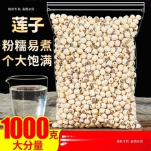 ȥоɏ1000gĥƤȥͨоɏɢbɏɏҰ؛