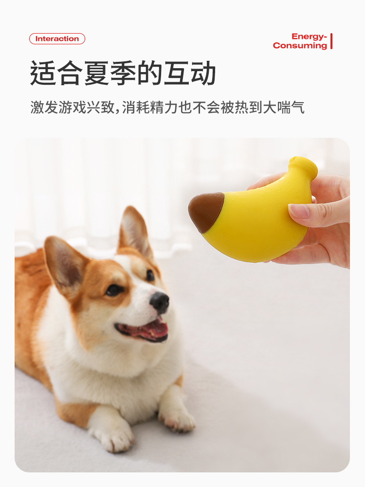 (PETSTAR_FROZEN TOYS) 소형견의 여름 냉각을 위한 강아지 치아 청소 및 씹기 방지 고무 장난감, 대화형 및 지루함 해소