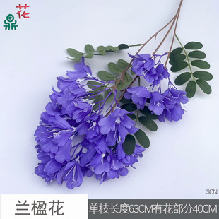 �m麻� �����m麻� ͥԺ�����Ĕz���߲廨���� ������ꐲ����ٻ�