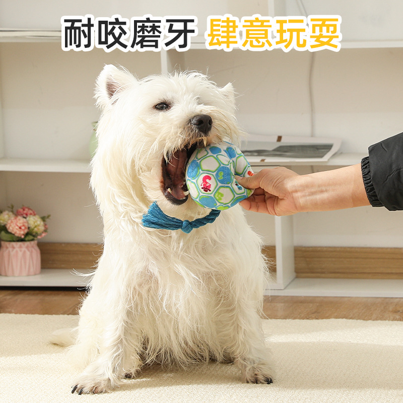 Bola de juguete para perros transfronteriza, interacción de sonido de felpa, resistencia a la mordedura y olfateo, acompañar a perros pequeños y medianos para aliviar el aburrimiento, entrenar juguetes para mascotas