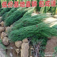 ؉ļɰؘǰСĹ^ֲGȰǰļ