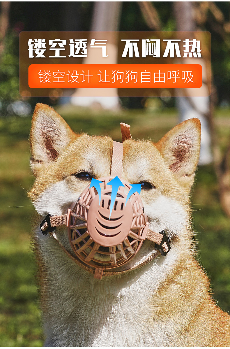 微信图片_20250605212122