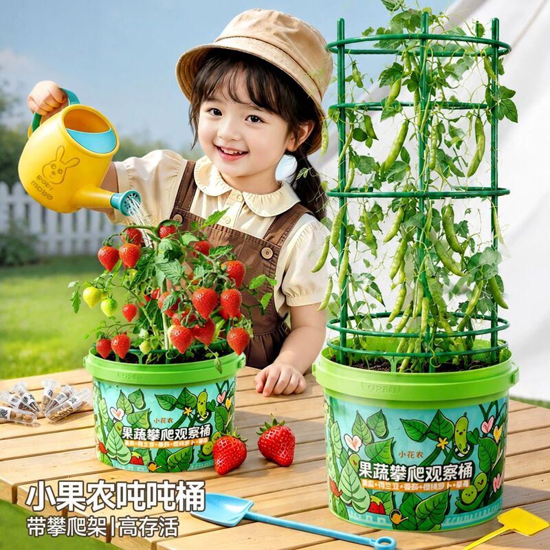Children's Planting Greenhouse Potted Plant Growth Observation Box Climbing Bucket Science Experiment Toy Set for Primary School Students Children's Planting Greenhouse Potted Plant Growth Observation Box Climbing Bucket Science Experiment Toy Set for Primary School Students