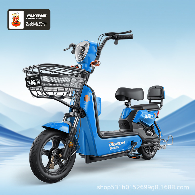 El nuevo vehículo eléctrico estándar nacional Golden Eagle 48V nuevo vehículo eléctrico estándar nacional de transporte diario vehículo eléctrico de comercio exterior transfronterizo vehículo eléctrico image 5