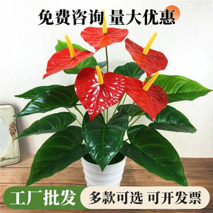 �S�ҹ�؛���滨С�t�ƾGֲ�������ϻ��ٻ������b���Gֲ���l