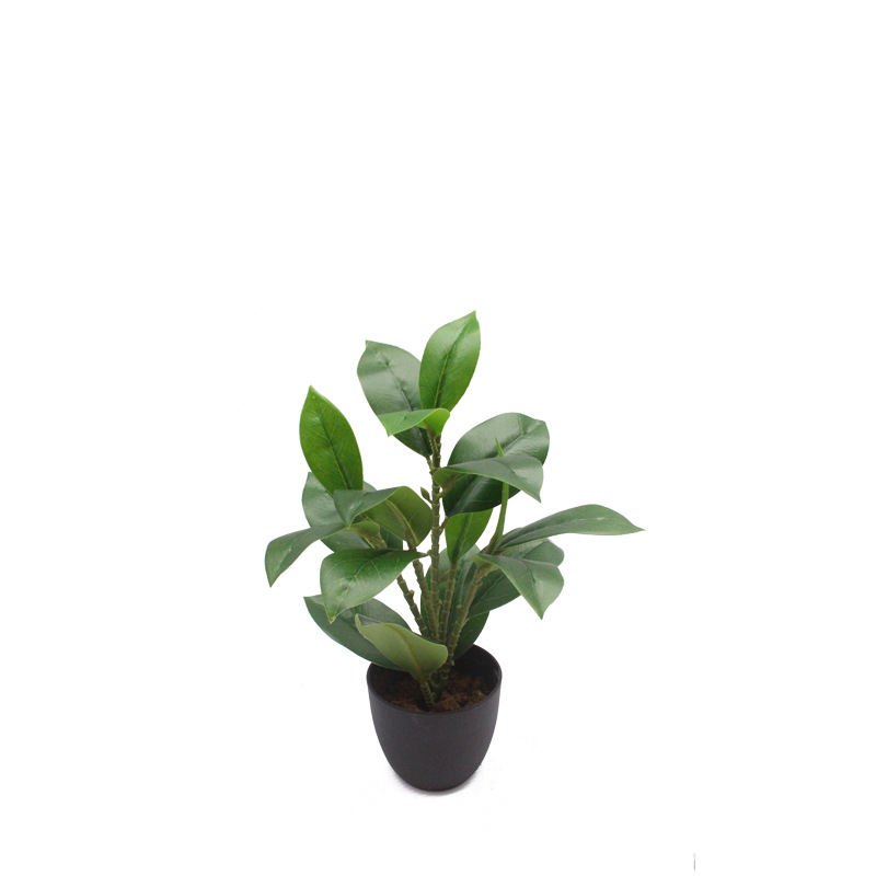 仿真植物单枝油茶叶绿植茶树橄榄叶客厅家居拍摄摆放工程厂家批发