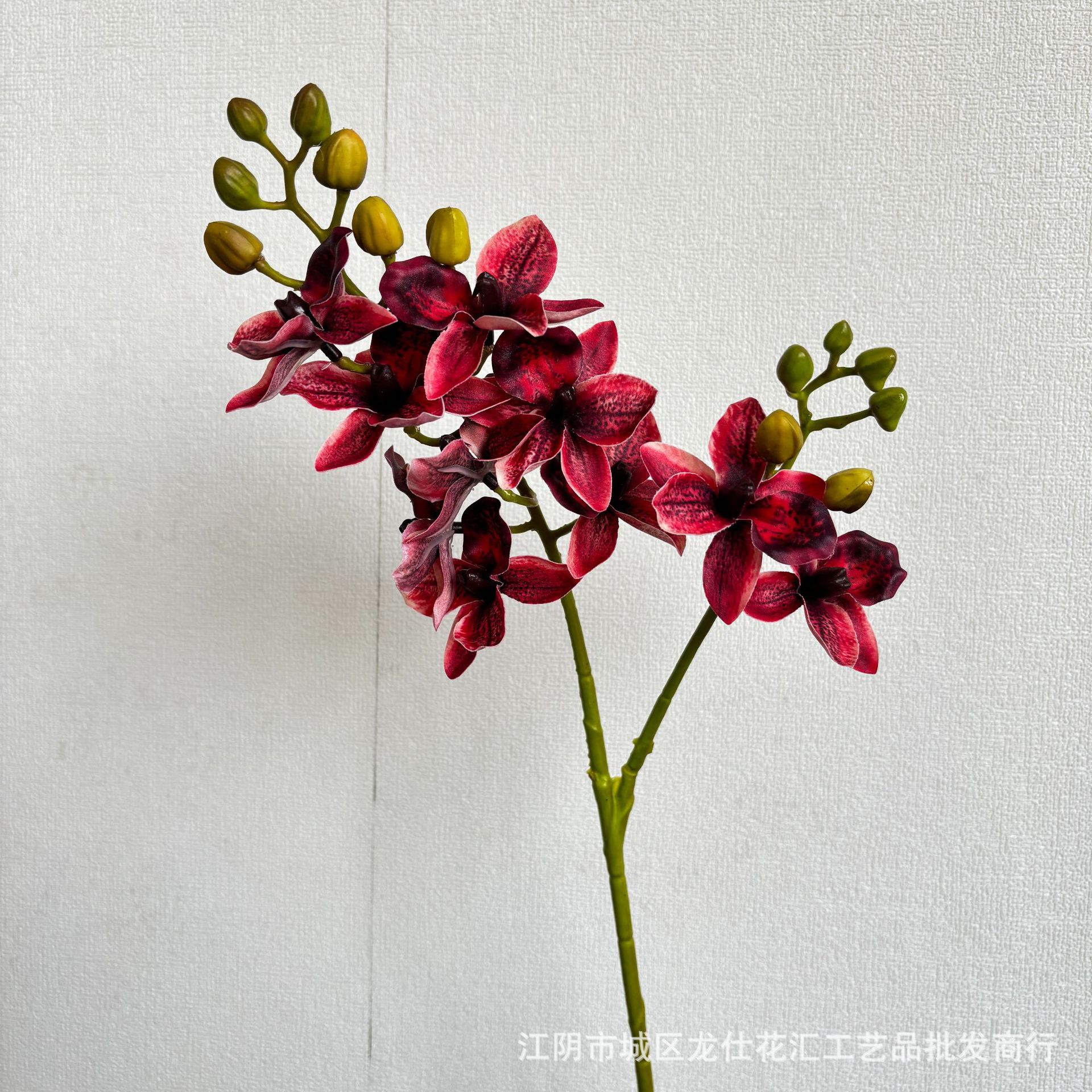 수천 마리의 난초 10개