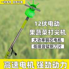 蔬菜果树草坪打头打尖神器 便携式截头机农具12伏电动打尖机