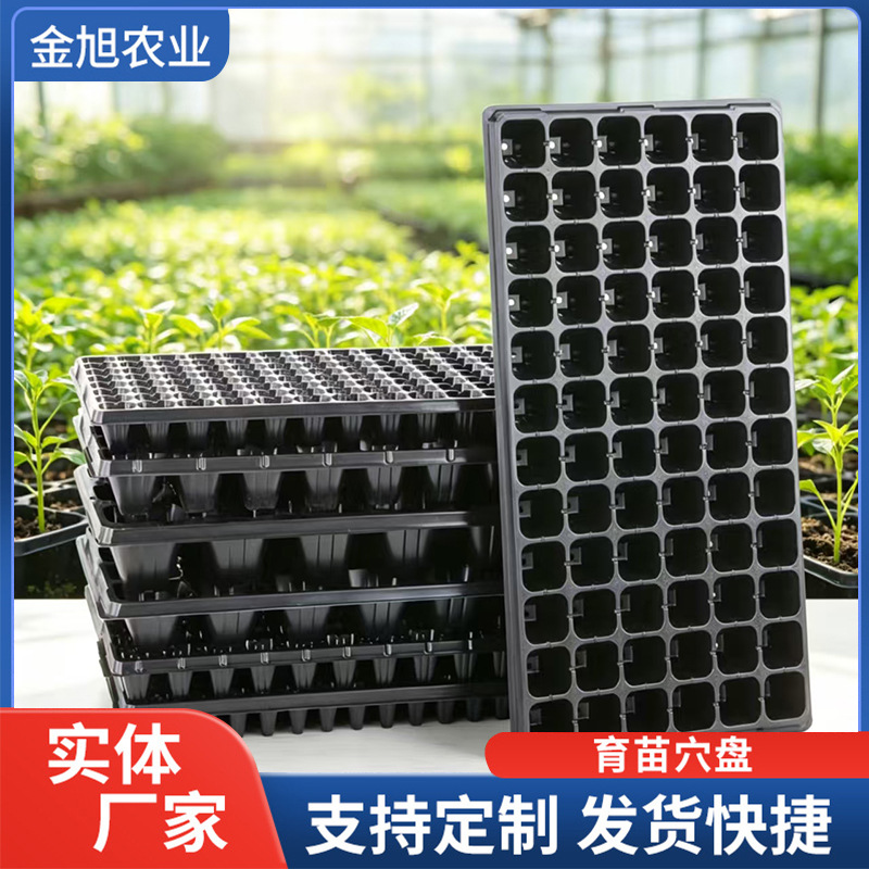 定制多孔育苗盘蔬菜花卉扦插育苗托盘农用园艺育苗盘塑料培育托盘