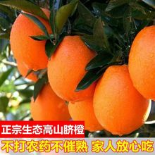 橙子新鲜脐橙水果新鲜甜橙冰糖橙爱媛果冻橙赣南的脐橙整箱批发厂