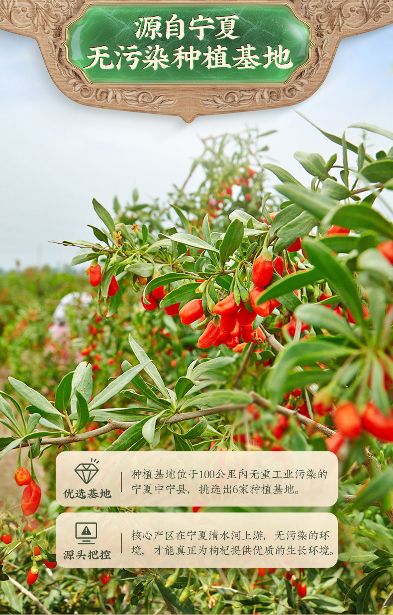Premium Ningxia Goji Berries Gou Qi Zi 250g First Harvest Dried Red Wolfberry for Tea and Soup preparation