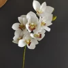 White green core