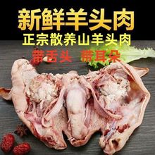 �������Ę��ȥ�����^�⎧���^��ֻ���^��Ę�������s���l